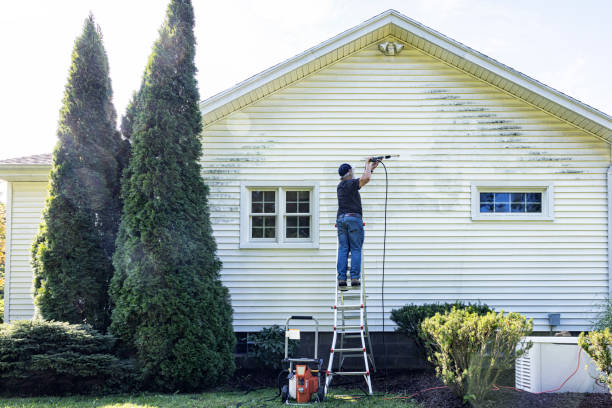 Professional  Pressure Washing in Dunedin, FL